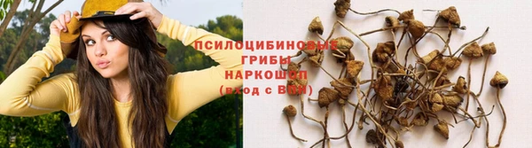 героин Белокуриха