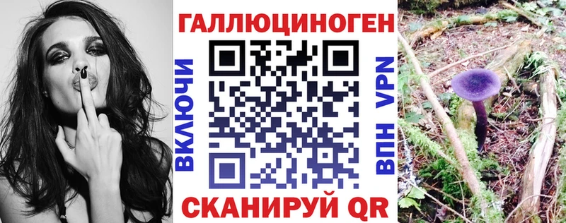 Псилоцибиновые грибы Magic Shrooms  где найти   Верея 